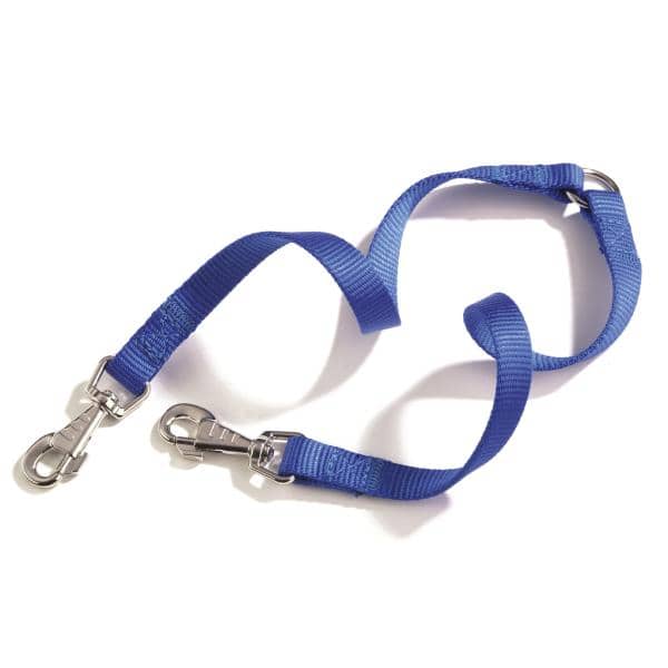 LAISSE DOUBLE CAMON 15X350 MM BLEU