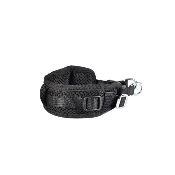 SET SUN WALKING COLLIER L + LAISSE 20X1200