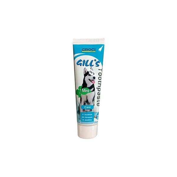 GILL'S MINT TOOTH PASTE 100g