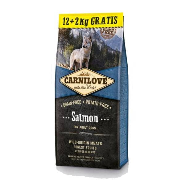 CARNI CHIEN SAUMON ADULT 12+2kg