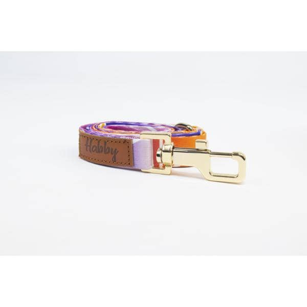Laisse Habby 20mm Motif 5