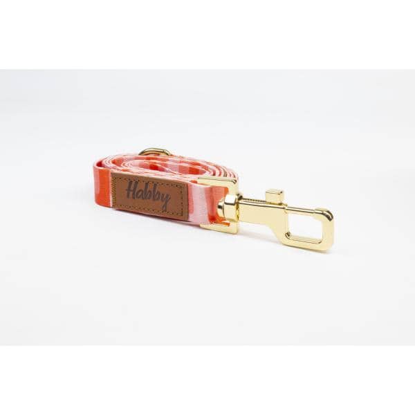 Laisse Habby 20mm Motif 3
