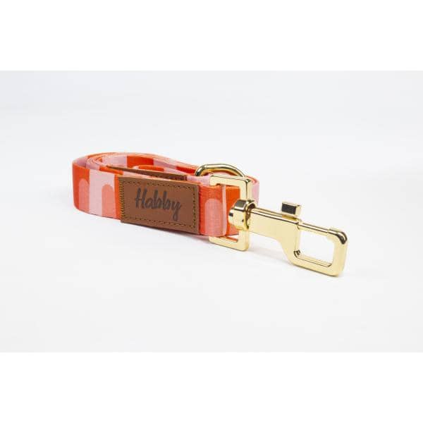 Laisse Habby 25mm Motif 3