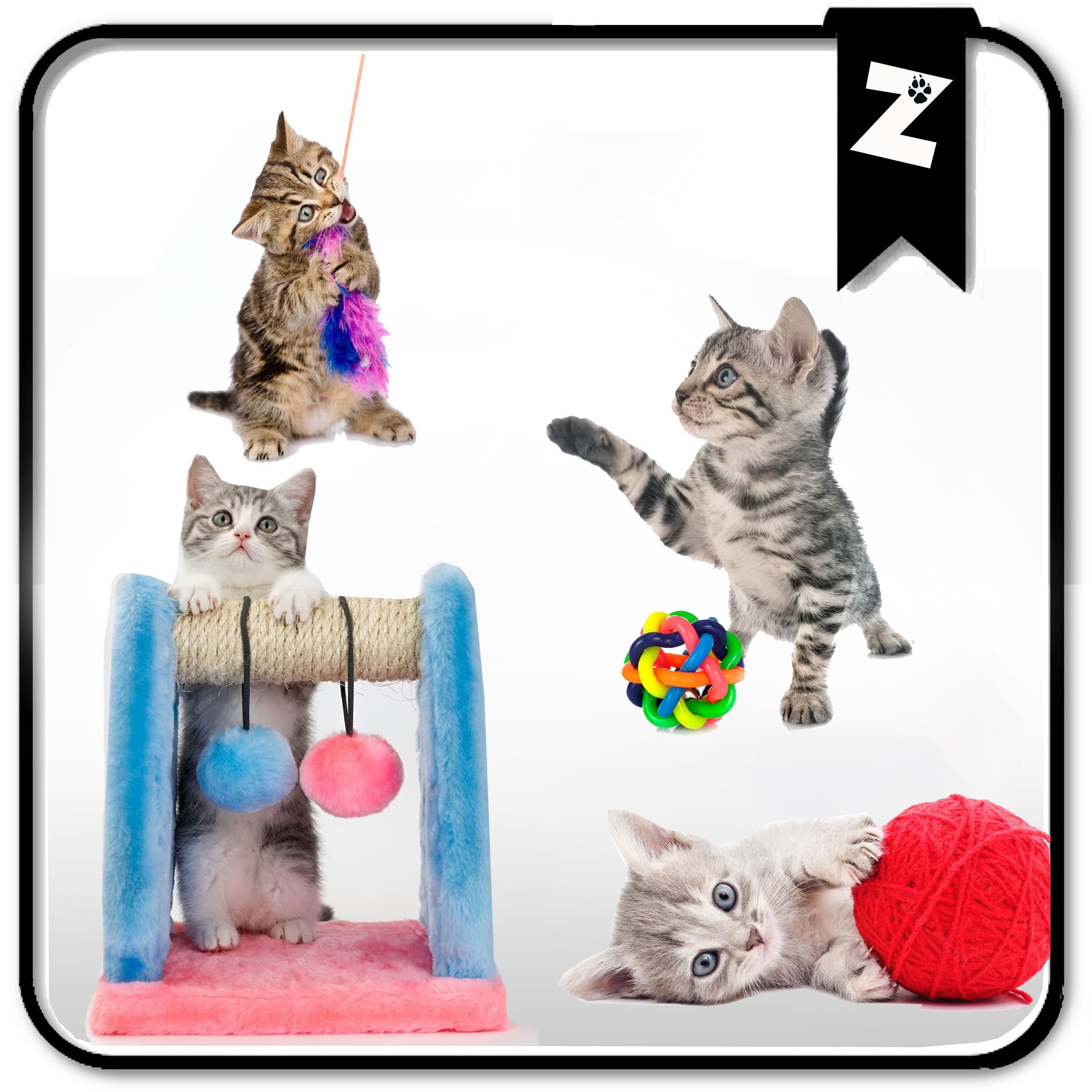 JOUETS CHATS