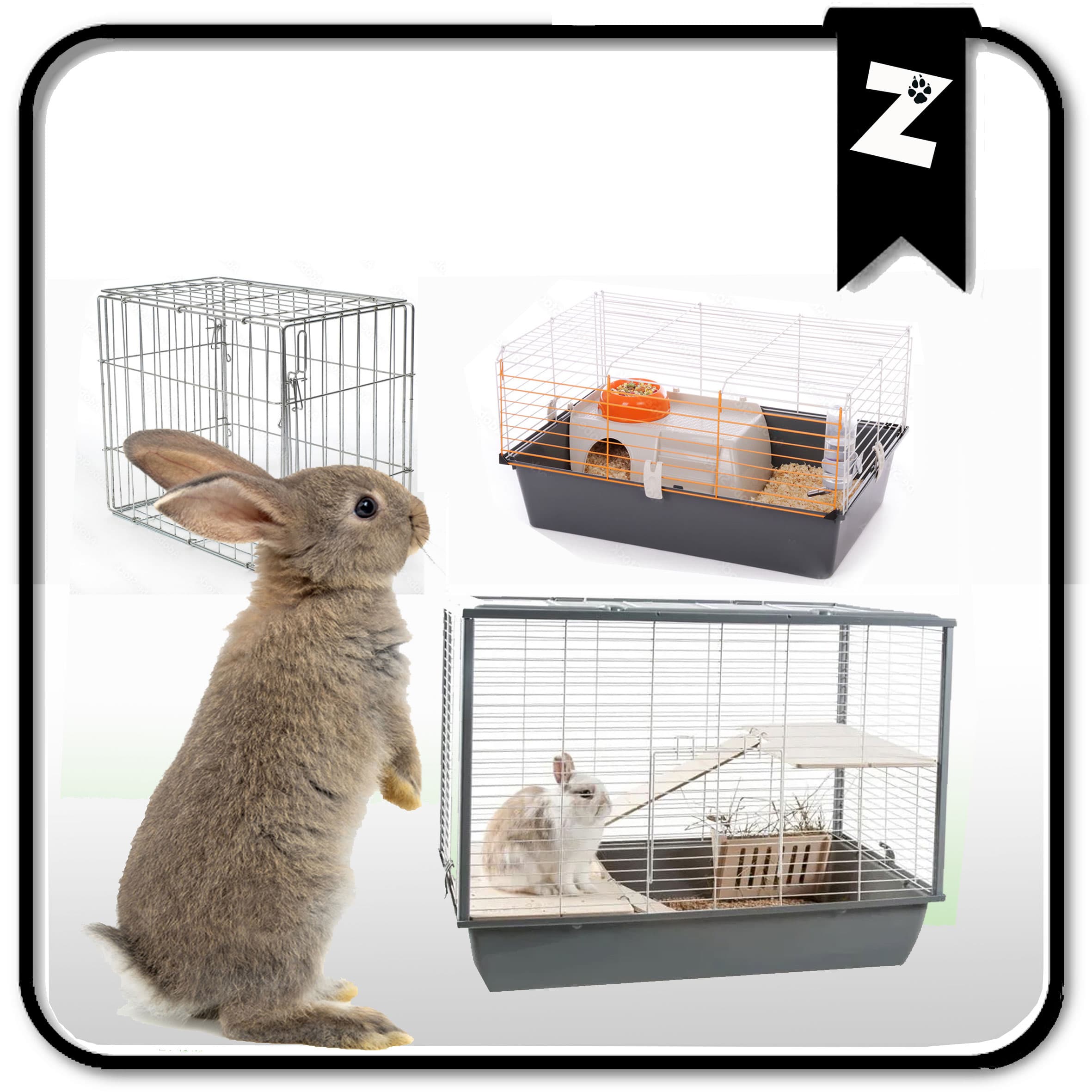 CAGE LAPIN