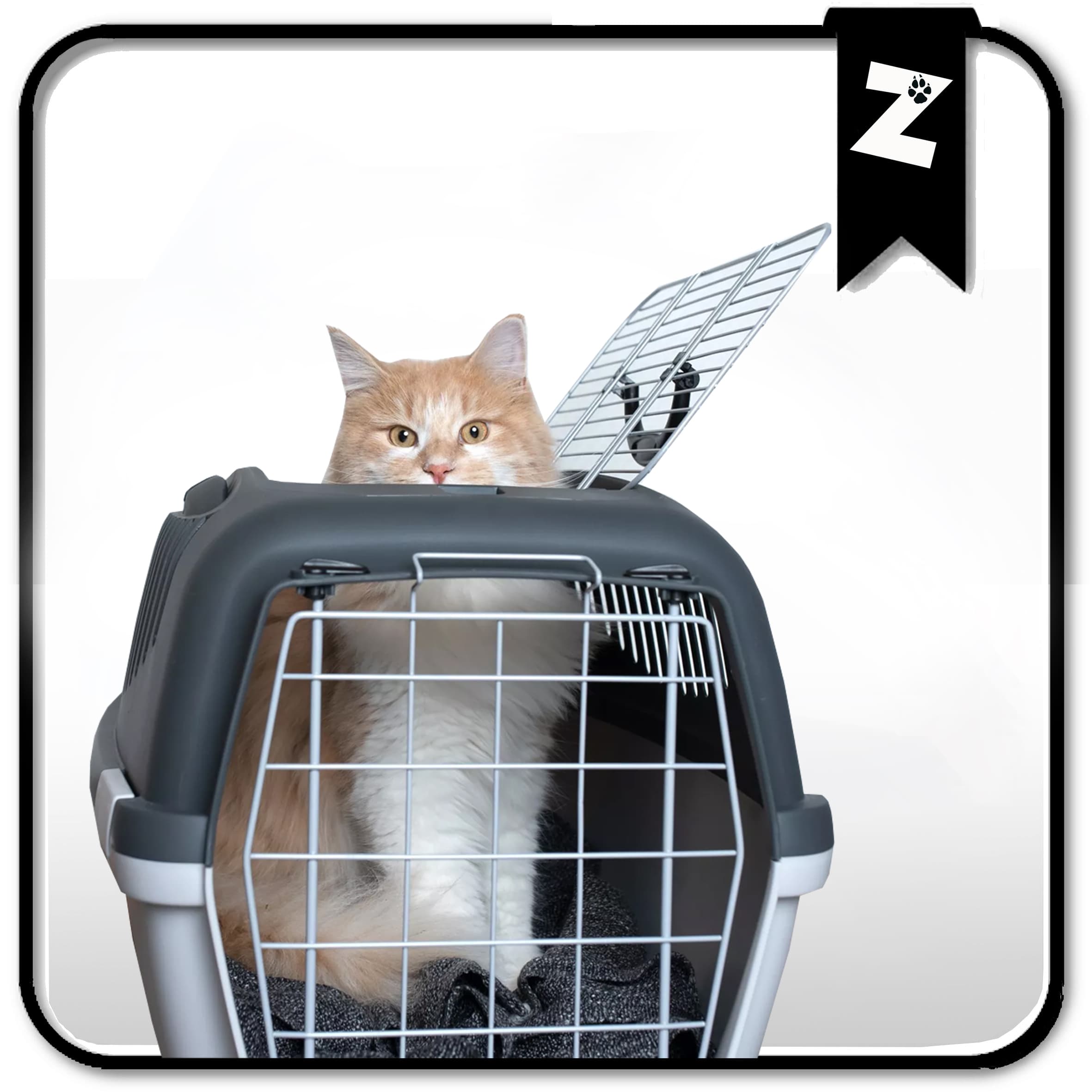 BOX DE TRANSPORT CHATS