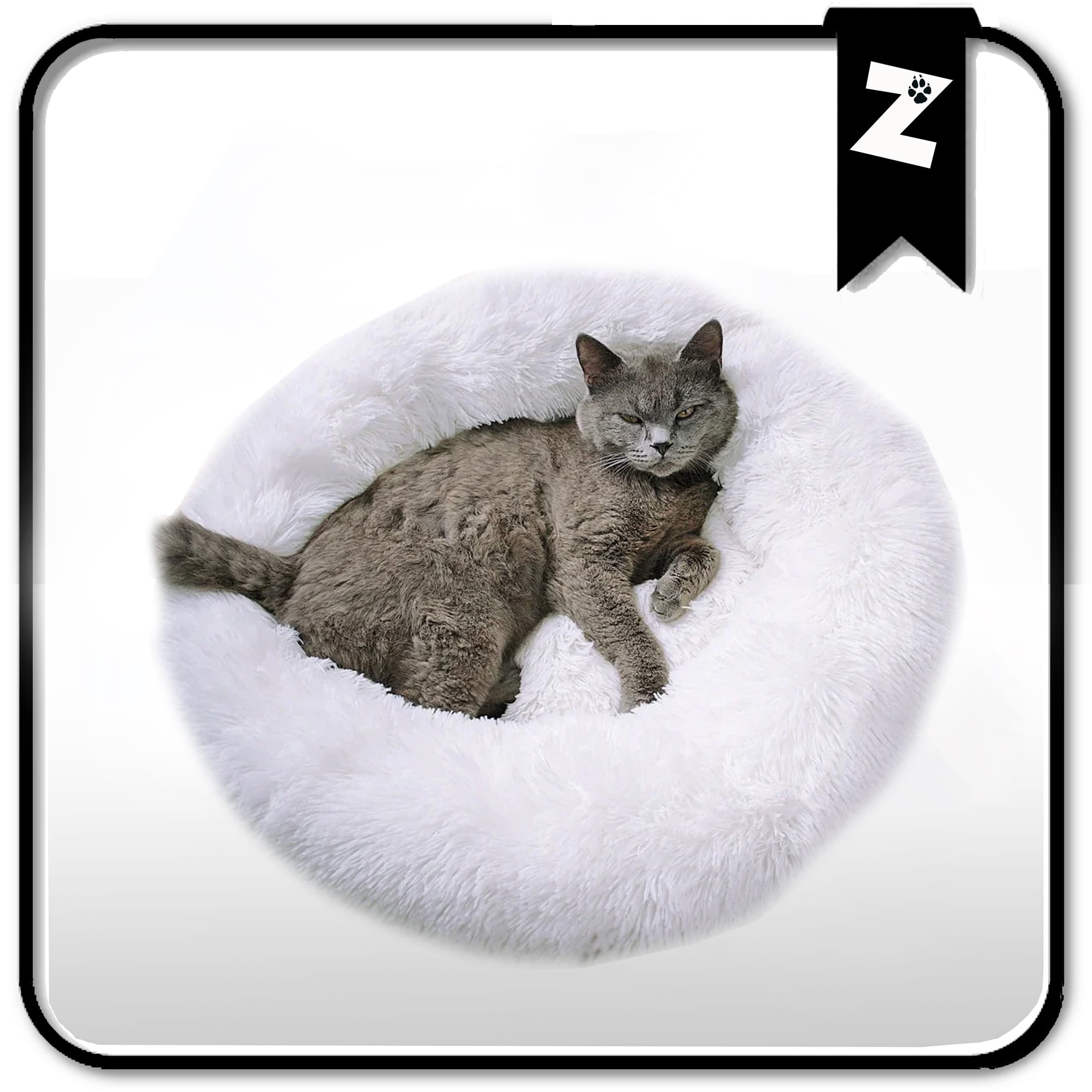 COUCHAGE CHAT