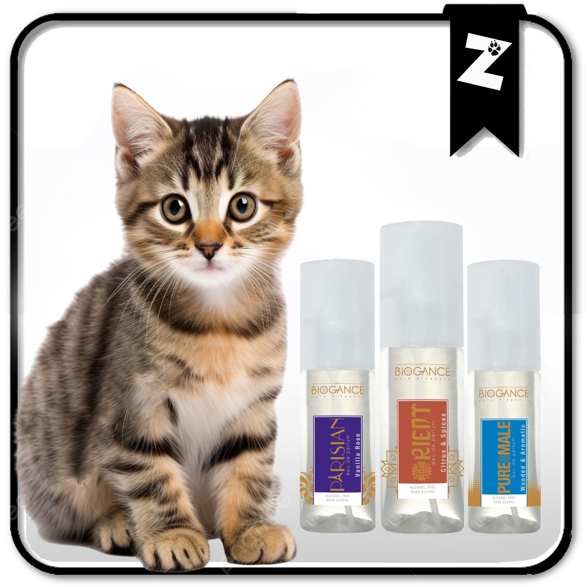 PARFUMS CHAT