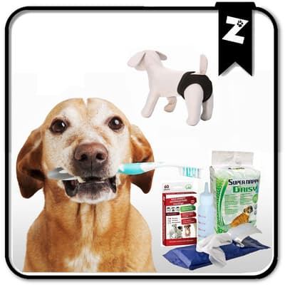 HYGIENES